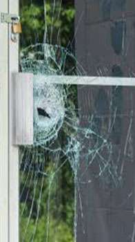 professional carpet cleaners